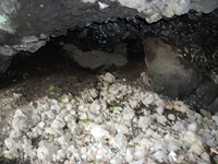 otta Comune-10042012 004